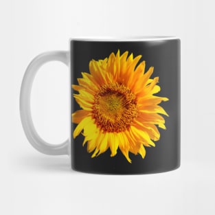 Real Sunflower Pattern for Summer/Autumn Fashion Mug
